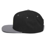 Snapback Hat - Image 15